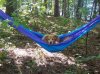 hammock.jpg