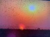 doves small pic.jpg