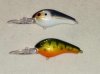 bama baits.JPG