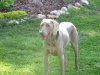 5-23-2011 025.jpg